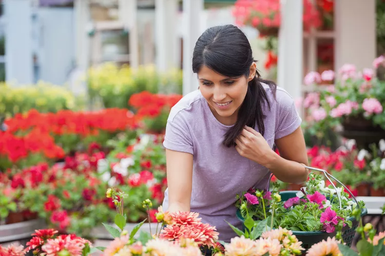 10 Smart Money-Saving Strategies When Shopping for Plants