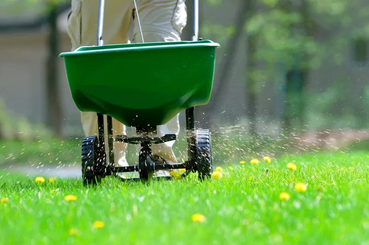 What Is Grass Fertilizer Burn? Plus 5 Tips to Prevent It