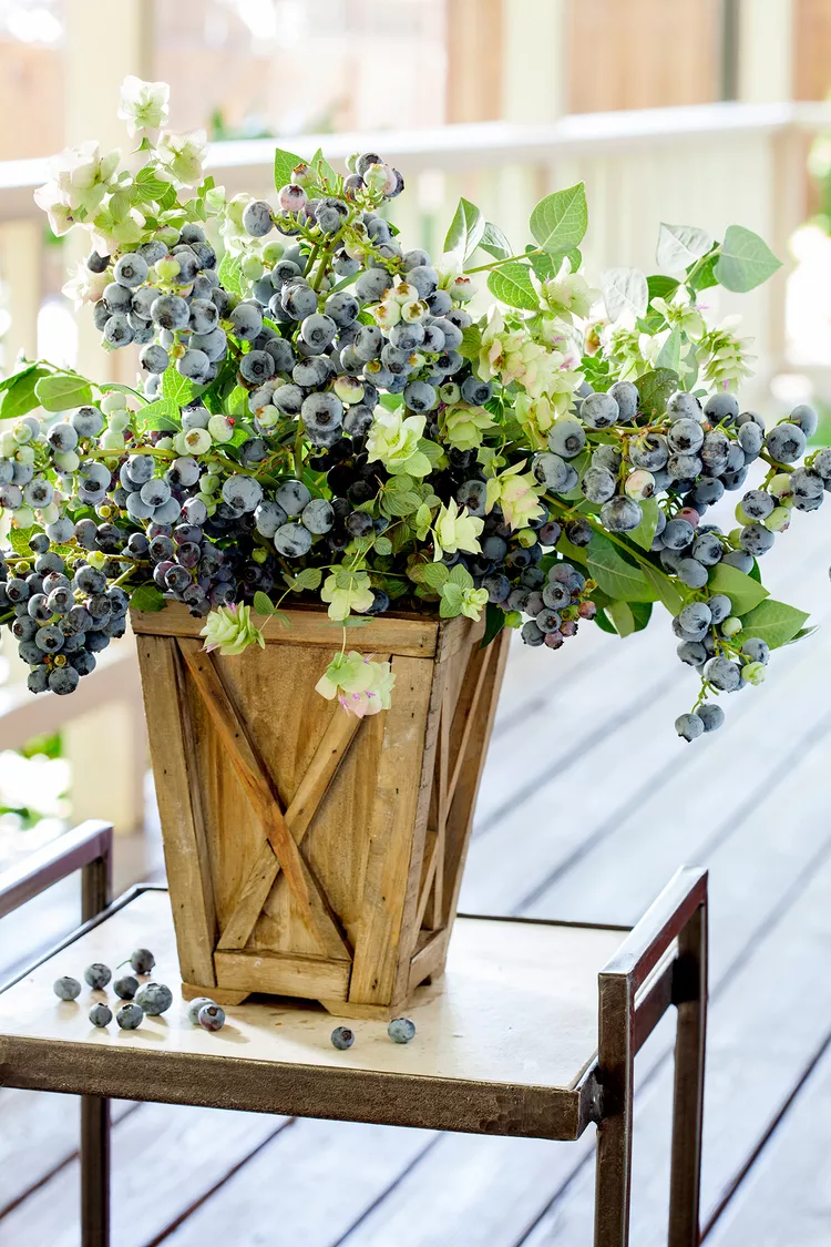 8 Tips for Growing Blueberries in Containers