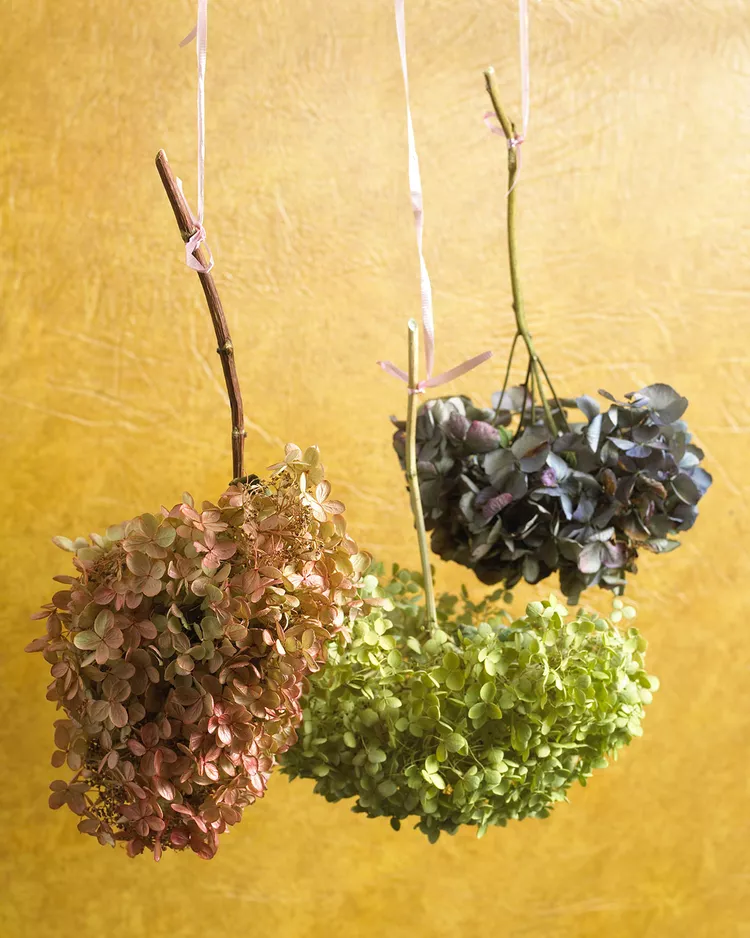 How to Dry Hydrangeas Like Experts Do