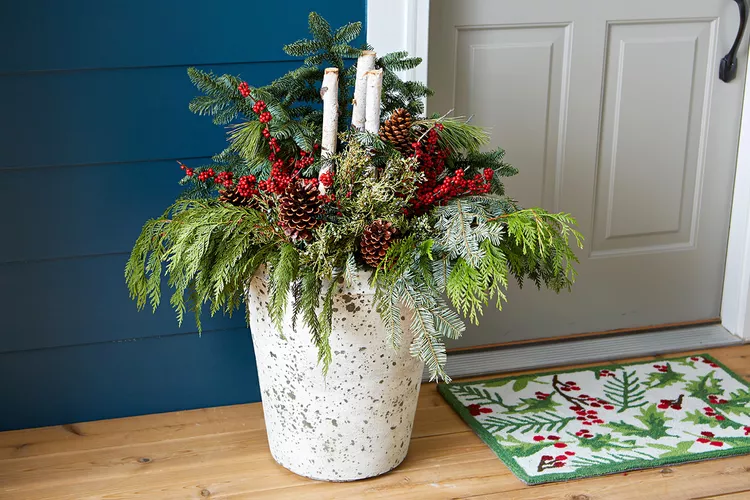 Make These Winter Container Gardens to Add Holiday Cheer to Your Porch