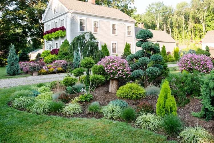 11 Best Topiary Trees and Shrubs for Your Garden