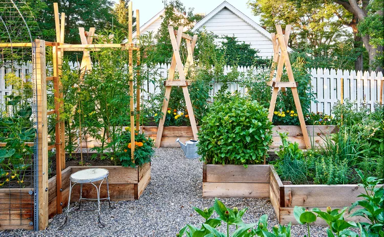 5 Best Raised Bed Garden Layouts—and How to Choose the Right One for Your Space