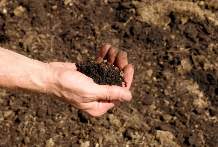 What Is Loam Soil and How Can You Create It in Your Garden?