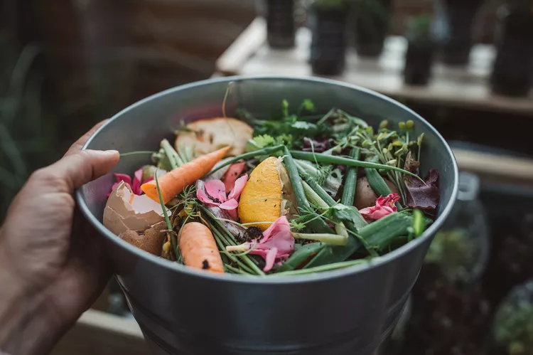 Here’s What Not to Put in Compost to Avoid a Contaminated Bin