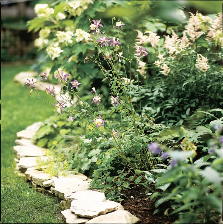 8 Inexpensive Garden Edging Ideas to Make Your Yard Look Sharp