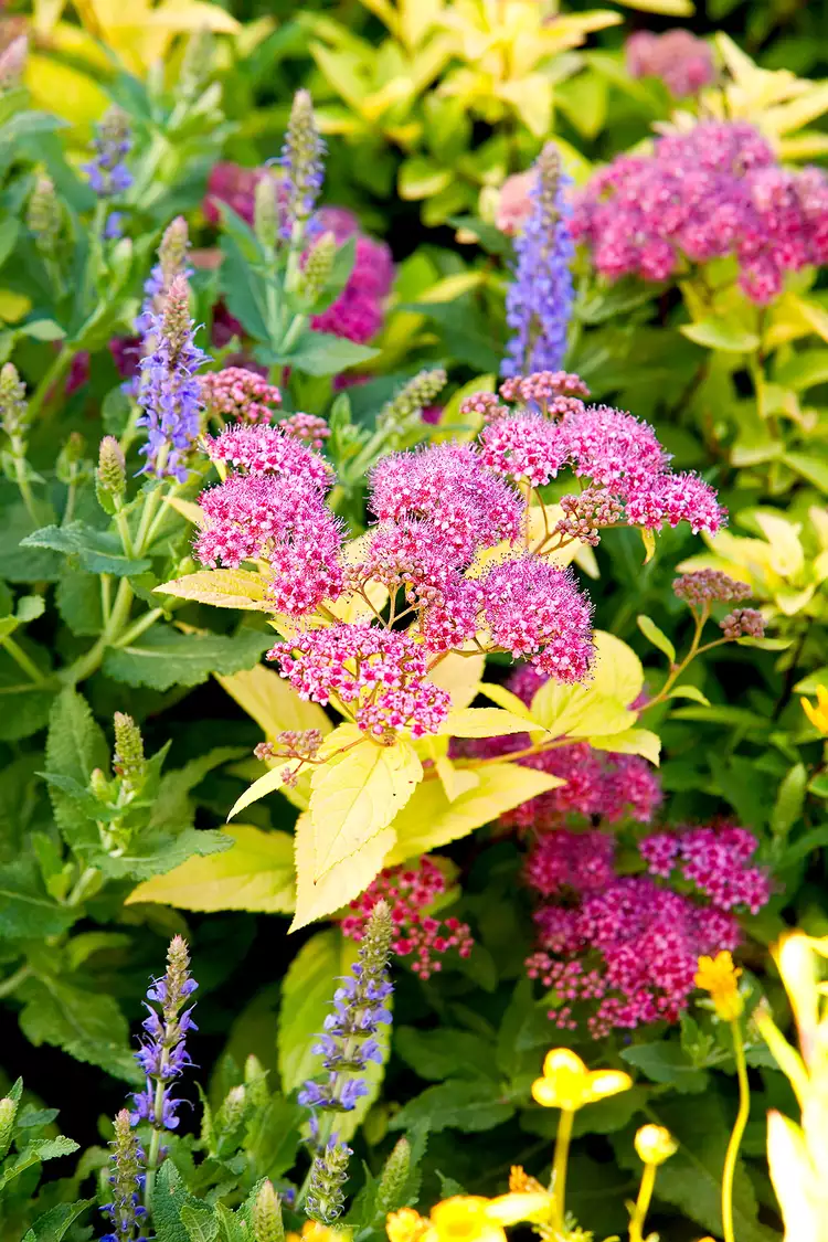 12 Tips for Designing a Beautiful Flower Garden