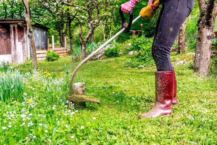 How to Use a Weed Whacker to Fly Through Your Landscaping Chores