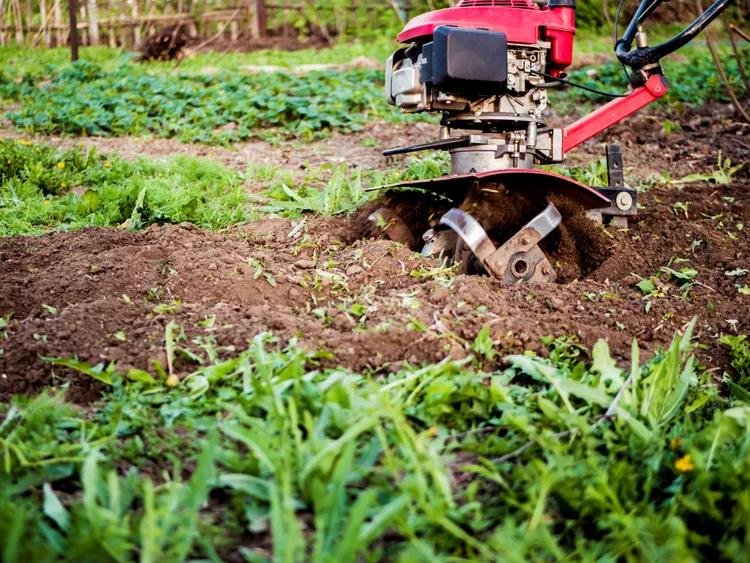 Tillers vs. Cultivators: How to Choose the Right One for Your Gardening Tasks