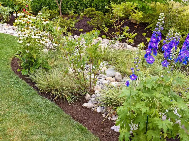 5 Smart Solutions for Dealing with Poor Drainage in Your Yard