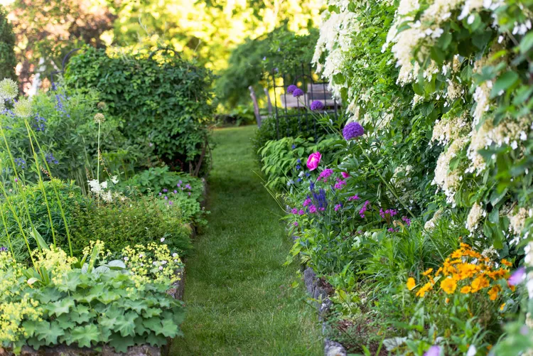 How to Spot 5 Common Plant Diseases and Keep Your Garden Healthy 