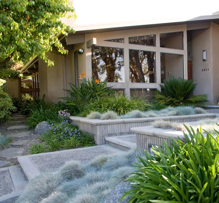 9 Types of Drought-Tolerant Grass for a Lawn You Don't Need to Water All the Time