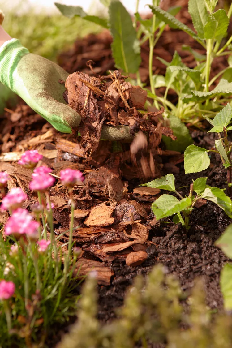 5 Simple Steps for Preparing Gardens for Winter Weather