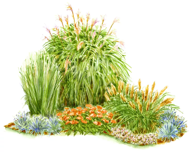 Create a Lush Corner of Ornamental Grasses with This Simple Garden Plan