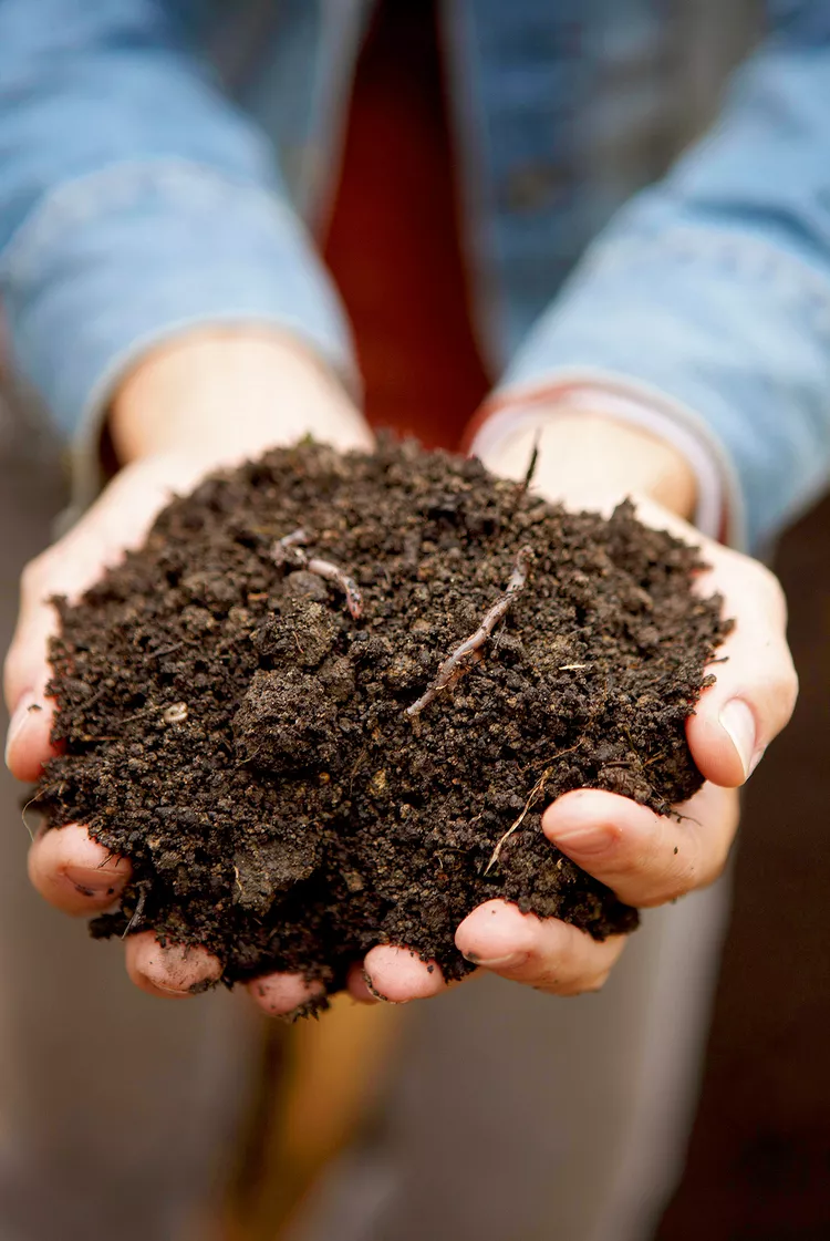 4 Topsoil Mistakes That May Be Hindering Your Gardening Success