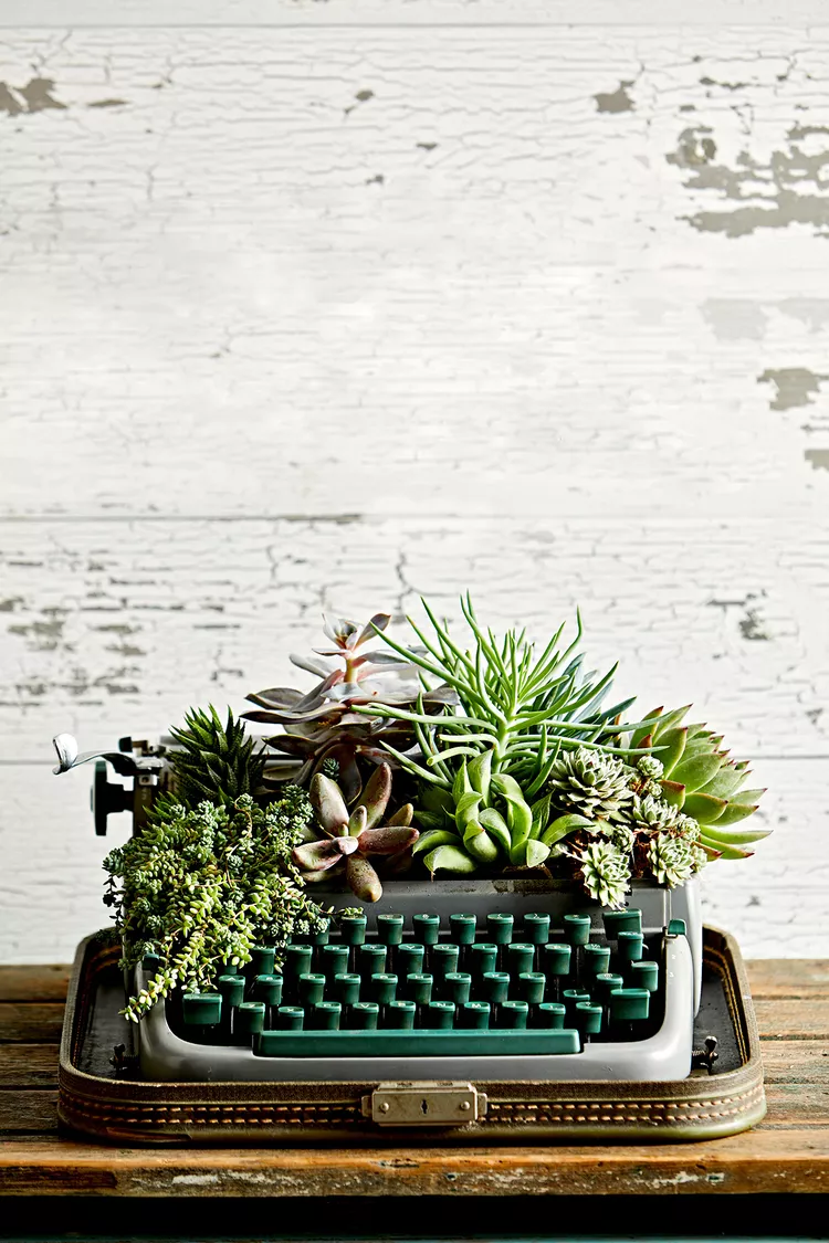 14 Unique Planters for Succulents You Can Make from Thrift Store Finds