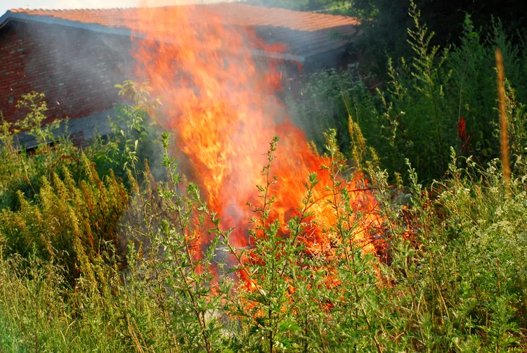 What Is Firescaping? Plus How to Use It to Defend Your Home Against Wildfires
