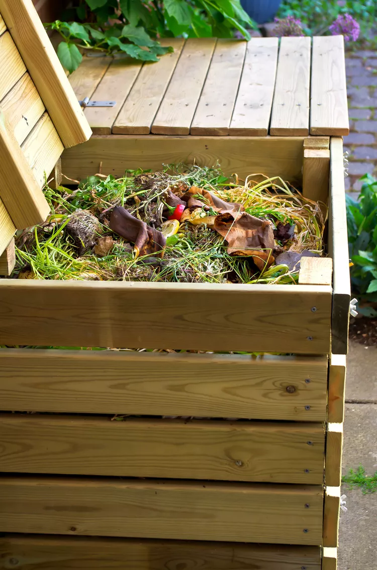 8 Common Composting Mistakes (and How to Fix Them)