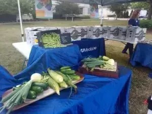 WVU Medicine Thomas Hospitals partners with locally-grown food programs to prescribe fresh produce to those with chronic illnesses