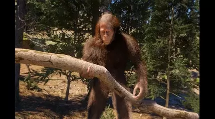 Play as Bigfoot in Upcoming Survival Sim ‘Bigfoot Life’ in 2025 [Trailer]