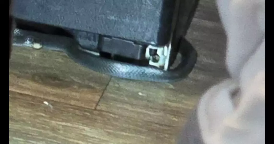 Mom, kids find snakes in their Jonesboro apartment