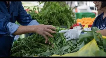 Asian Angelenos Have Hardest Time Getting Enough Healthy Food, Study Finds