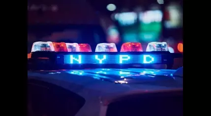 4 Fatally Stabbed, Including 2 Kids, Inside Brooklyn Home: NYPD