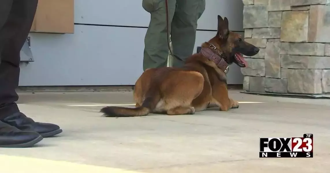 Video: K9 officers put on show to raise money for Saint Francis Children’s Hospital