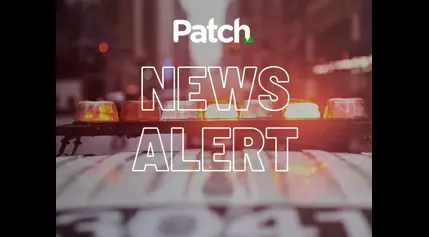 2 Kittens Killed After Being Thrown From Moving Car: Naugatuck Police