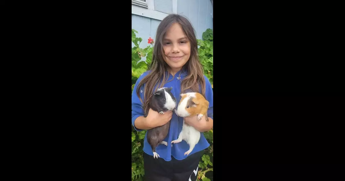 For some kids, guinea pigs are favorites to show at Ramona Junior Fair