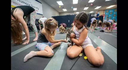 See photos of Austin Humane Society’s cat yoga as part of the summer kids series program