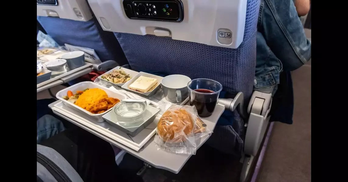 Amsterdam-bound Delta flight diverts to JFK after serving ‘spoiled’ food