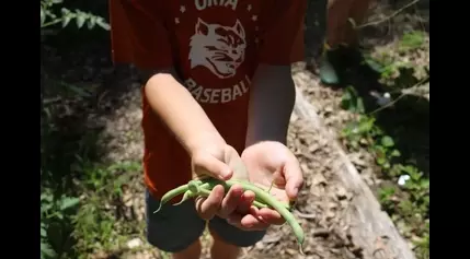 ‘Plant a Row’ helps NH gardeners address food insecurity