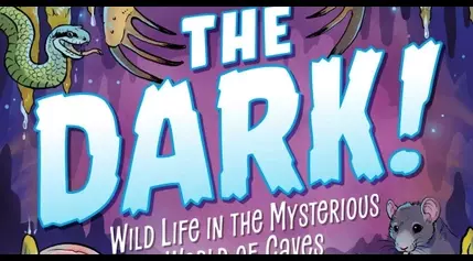 BOOK REVIEW: ‘The Dark’ invites kids on an adventure of exploration