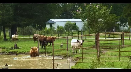 Kids learn about farming at Ol’ Mel’s Farm Day Camp