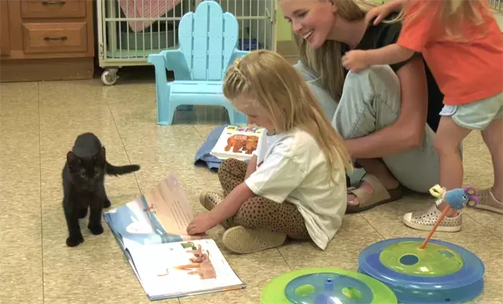 Local Animal Shelter’s Reading Program Benefits Kids and Kittens