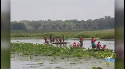 In your backyard: Connecting kids with the great outdoors | Good Day on WTOL 11