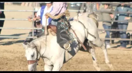 Jefferson County Fair enters final day