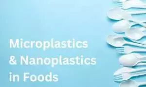 Microplastics and Nanoplastics in Foods – Institute for Food Laws and Regulations