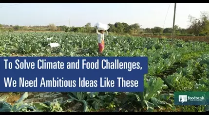 To Solve Climate and Food Challenges, We Need Ambitious Ideas Like These