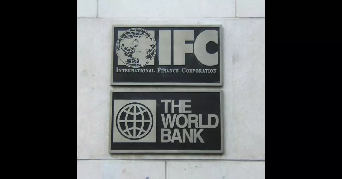 What is the International Finance Corporation (IFC)?