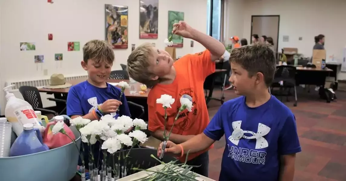 Science camps for kids