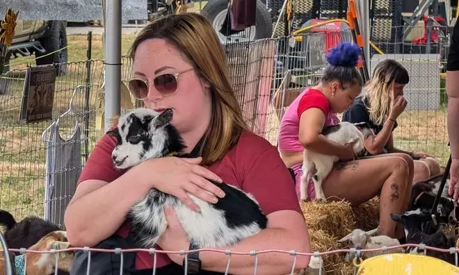 Take a photo tour of the York State Fair 2024 – see food people and animals