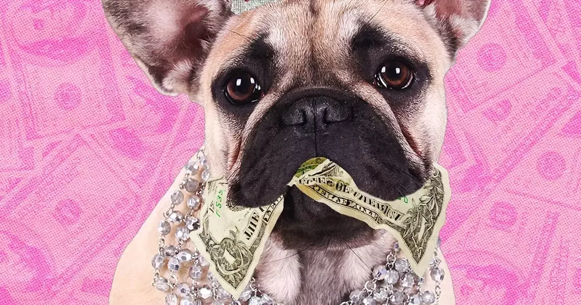 The Money Real Talk You Need To Know Before You Get A Pet