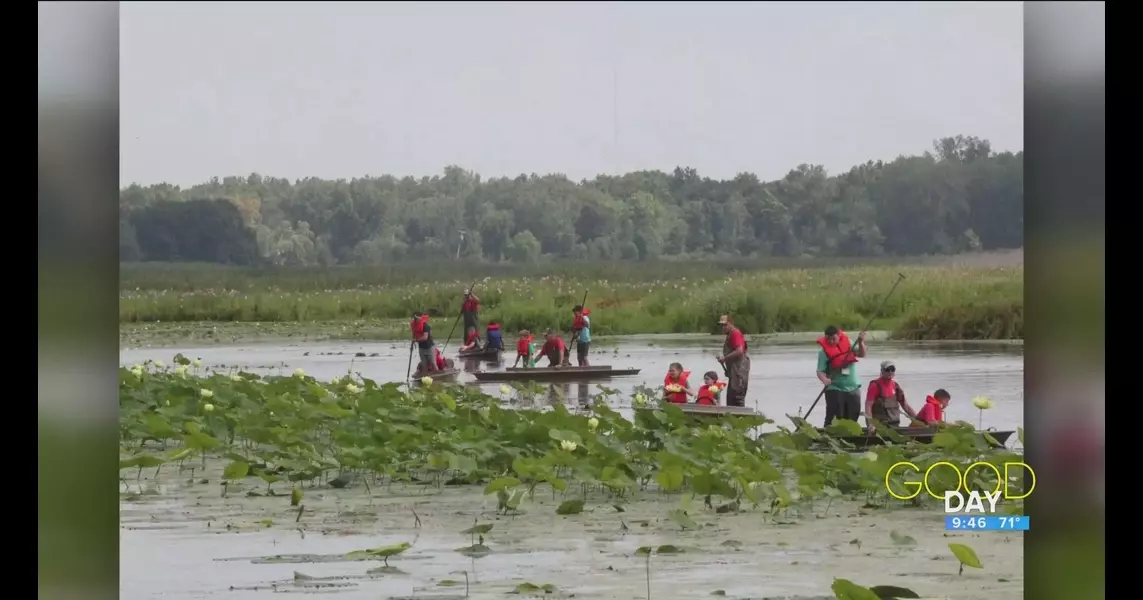 In your backyard: Connecting kids with the great outdoors | Good Day on WTOL 11