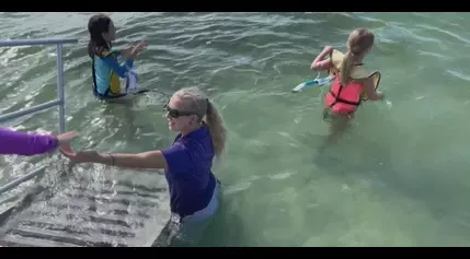 Dozens of kids snorkel through the Sarasota Bay with Mote