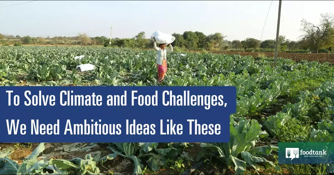 To Solve Climate and Food Challenges, We Need Ambitious Ideas Like These