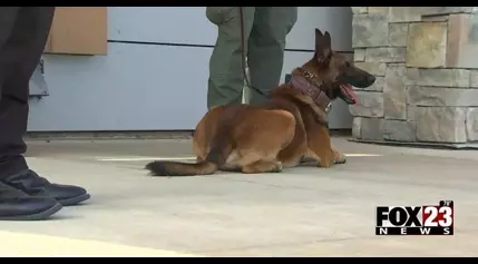 Video: K9 officers put on show to raise money for Saint Francis Children’s Hospital