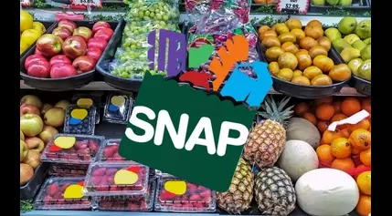 When will SNAP Food Stamps payments arrive? Dates of last July mailings