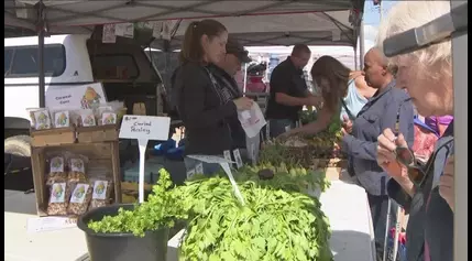 WNY food programs awarded .9 million as part of Gov. Hochul’s initiative